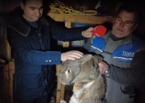 Screenshot 2024-01-25 155217.png