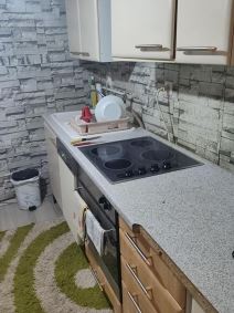 Kuca u Banatskom Dvoru  (4).jpg