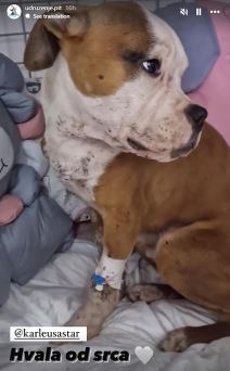 Žena otkrila šta je doživela od Jelene Karleuše dok joj je dete bilo u bolnici