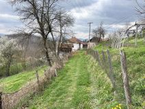 Žena ubila muža (4).jpg