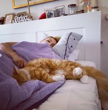 goca tržan stan (2).png