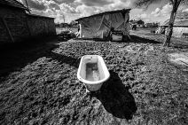 porodica Tot-Dokić (4).jpg