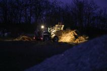 Danka Ilić (1) copy.jpg