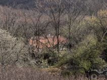 stala koju sad ciste (3) copy.jpg