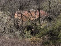 stala koju sad ciste (4) copy.jpg