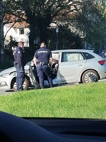 Udes u Višnjičkoj (4).jpg