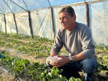 Prve domaće a organske jagode (3).jpg