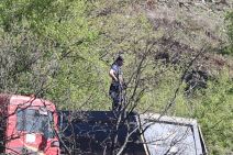 PAljenje sveća za malu Danku (2).jpg