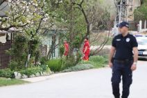 ubistvo danke banjsko polje (1).jpg