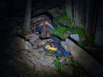 Advokat o promeni odbrane osumnjičenih za ubistvo Danke