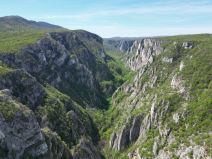 Državni sekretar MUP o ubistvu devojčice Danke