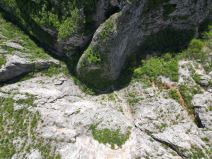 Državni sekretar MUP o ubistvu devojčice Danke