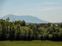 Sahrana brata osumnjičenog za ubistvo Danke