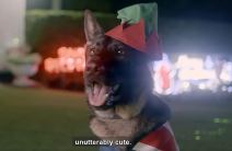 Policijski pas Gavel (4).jpg