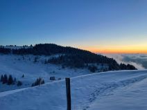 pola metra snega na Bjelasici (3).jpg