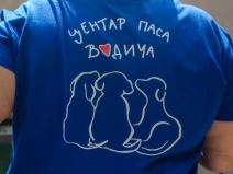 vesna_nestorović_psi_vodiči_za_slepe_stefan_stojanović_1 (30).jpg