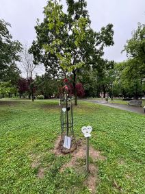 Poruka čika Dragana (6).jpg