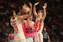 Crvena Zvezda-Mega (4).jpg