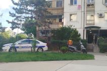 Novi Beograd, ubistvo, samoubistvo