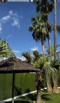 anastasija, nemanja gudelj (3).png