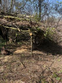 Tijana lovac (4) copy.jpg