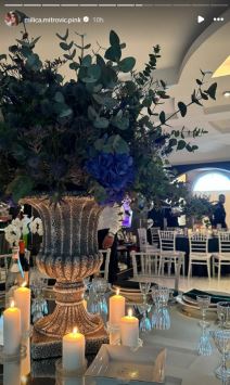 željko mitrović rođendan (1).png