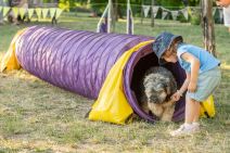 LiveProduction2FestivalUlicnihPasa190622High-9532 copy.jpg