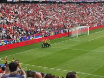 Navijač uleteo na Srbija Slovenija