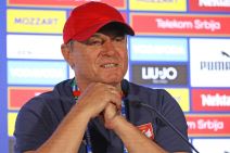 Ceca Ražnatović bila zaljubljena u Piksija