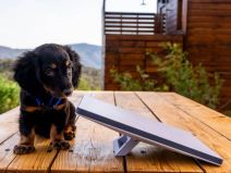 Starlink Mini _ Foto Starlink (3).jpg