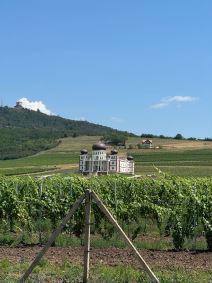 Vila Rodoljuba Draškovića (3).jpg