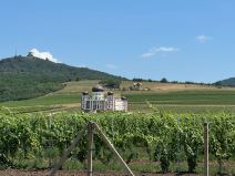 Vila Rodoljuba Draškovića (4).jpg