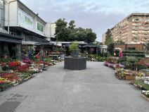 ONE SU OGLEDALO SVIH NAS! Pijace u Beogradu u novom ruhu