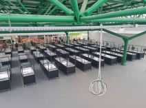 ONE SU OGLEDALO SVIH NAS! Pijace u Beogradu u novom ruhu