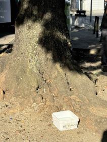 Voda za životinje (1).jpg