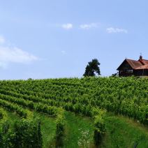 Slovenija Malek2.jpg