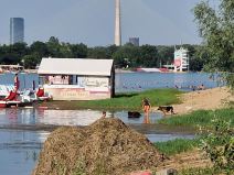 ada ciganlija psi zabrana  (3).jpg