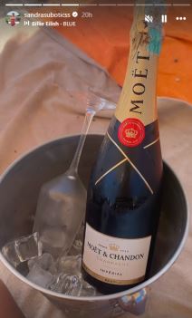 aleksandra subotić (2).png