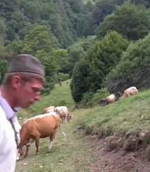 Screenshot_1 copy.jpg