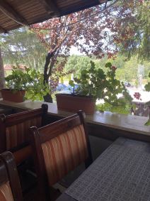 Srbija, putovanja (22).jpg