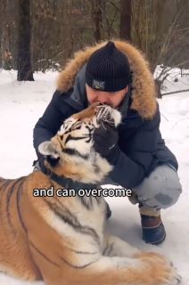 Čovek udomio tigra.jpg