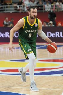 Andrew Bogut (5).jpg