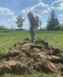 Saša Joksimović (3).jpg