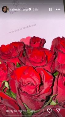 Saudi stan Rajkovići