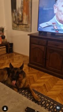 Stan Sergeja i Isidore