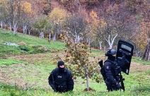 Potraga-Balijagic (3).jpg