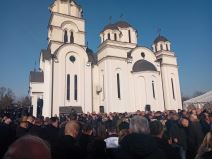 Palma sahrana (2).jpg