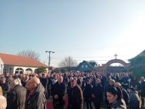 Palma sahrana (3).jpg