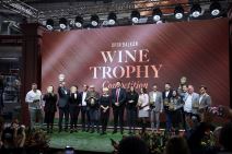 Vinska Vizija (2).jpg