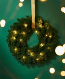 woodland_aranz_6 copy.jpg